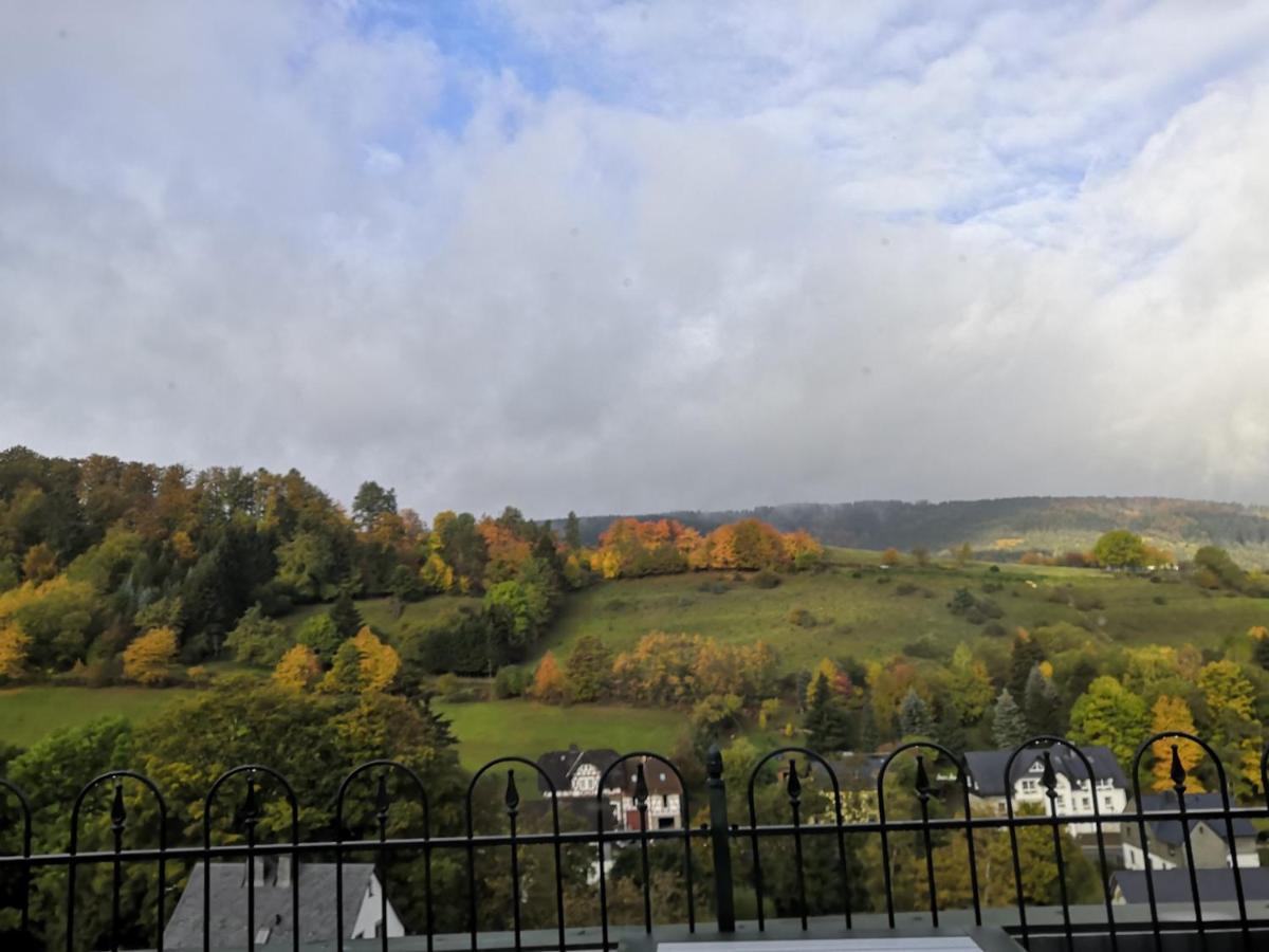 Gemutliche Ferienwohnung D'n Uitkijk - Willingen * Willingen (Upland)