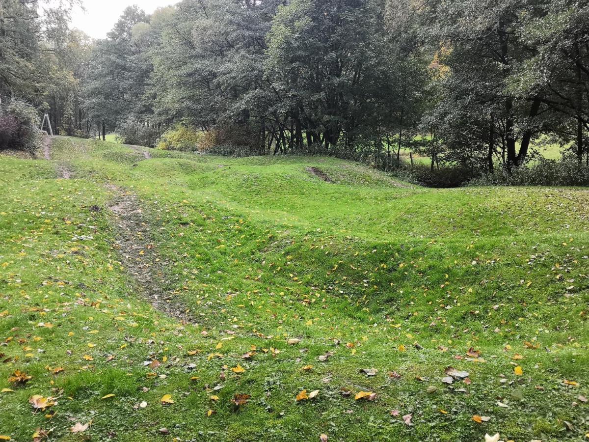 Gemutliche Ferienwohnung D'n Uitkijk - Willingen Willingen (Upland)