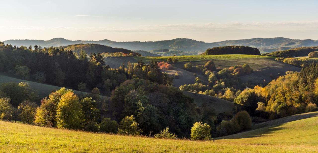 Gemutliche Ferienwohnung D'n Uitkijk - Willingen * Willingen (Upland)